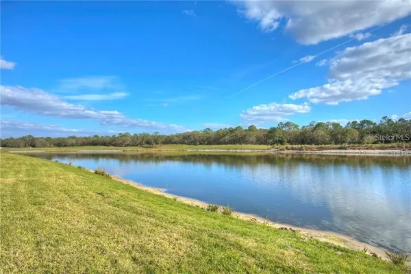 a view of a lake with a city