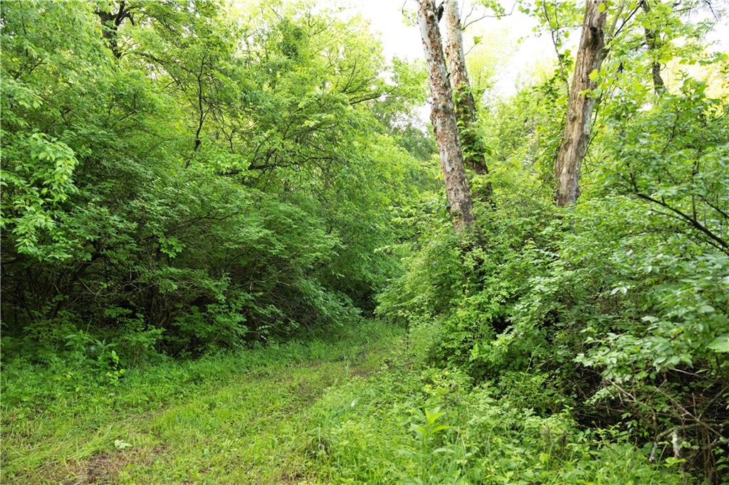 Wilderness Camp Road Lawson, MO 64062 - Photo 25 of 90