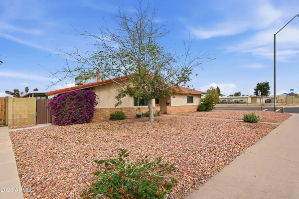 a potted plant is sitting in front of a house