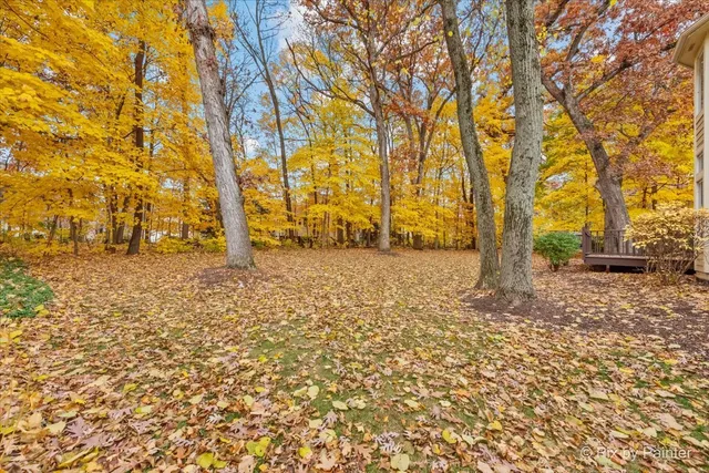 a backyard of a house with large trees