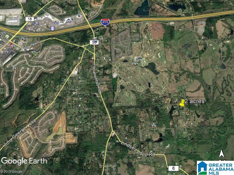 6611 Harpers Dairy Loop, Unit 2 ACRES Bessemer, AL 35022 - Photo 5 of 5