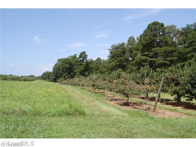 2229 Pannel Road Madison, NC 27025 - Photo 3 of 16 Exterior Front. pasture and fruit trees
