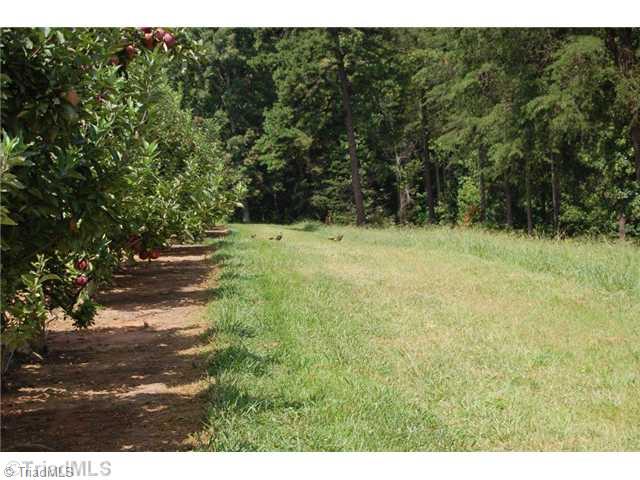 2229 Pannel Road Madison, NC 27025 - Photo 4 of 16 Exterior Front. Lots of wildlife.