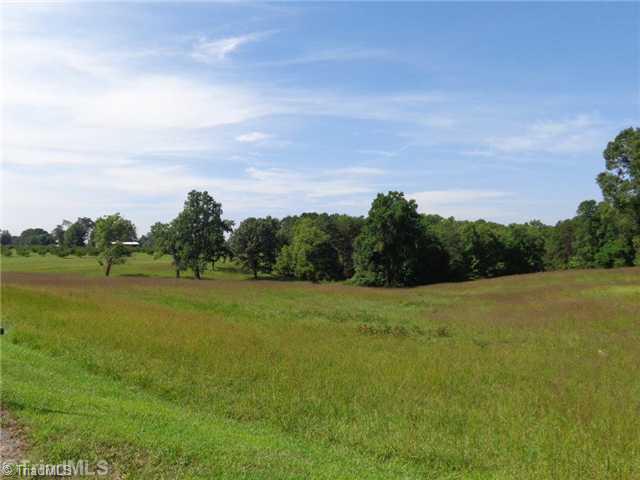2229 Pannel Road Madison, NC 27025 - Photo 8 of 16 Exterior Front. More pasture land