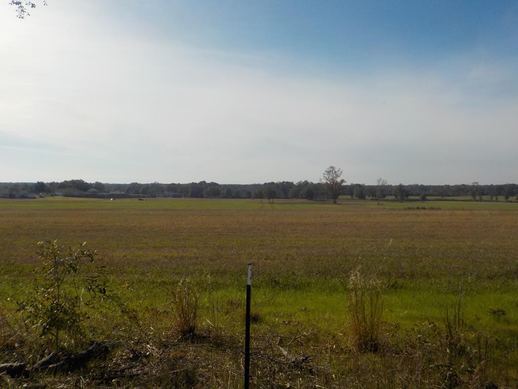 Lot 11 -ac Reardon Road Dothan, AL 36301 - Photo 1 of 1