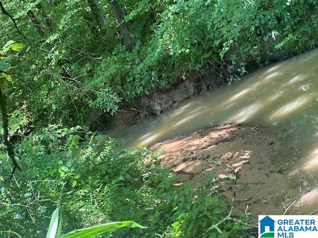 15.35 Spring Road, Unit 15 35 Anniston, AL 36201 - Photo 4 of 18