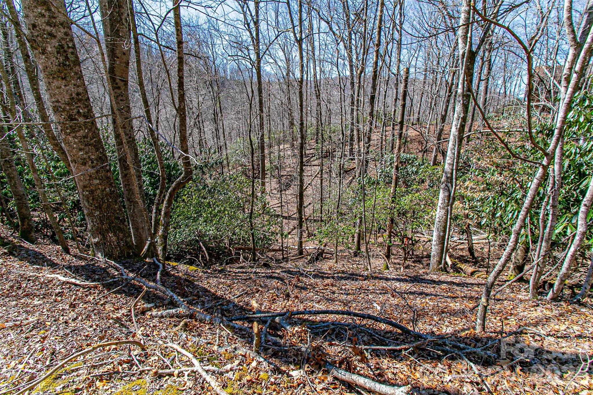 Tbd Still Branch Road, Unit L20 Brevard, NC 28712 - Photo 17 of 26
