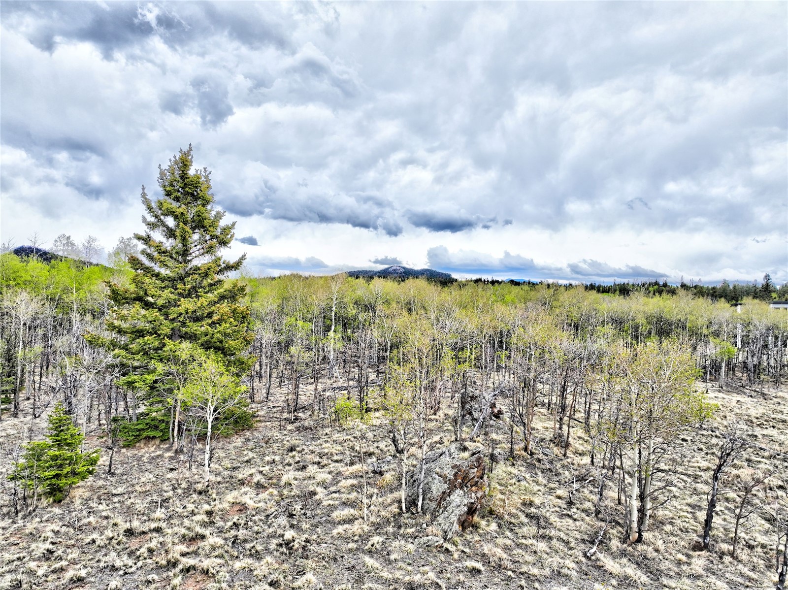 71 Mallard Road Como, CO 80432 - Photo 1 of 16 a view of lake with mountain in the back
