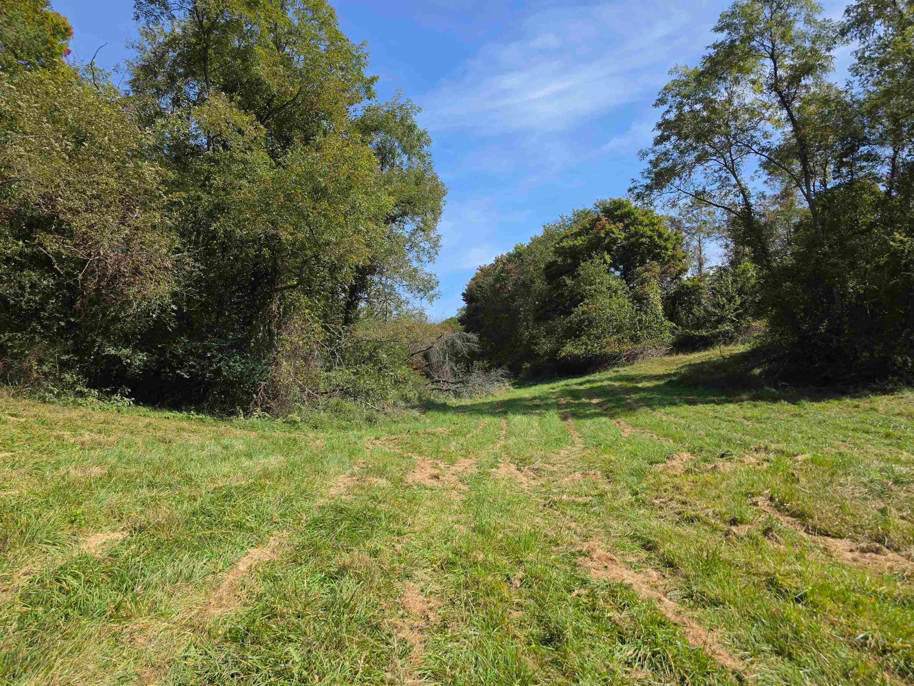 Tbd Ridge Road Northeast Pilot, VA 24138 - Photo 23 of 26 Gallery Image 23