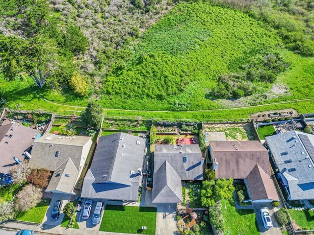a view of a garden with plants