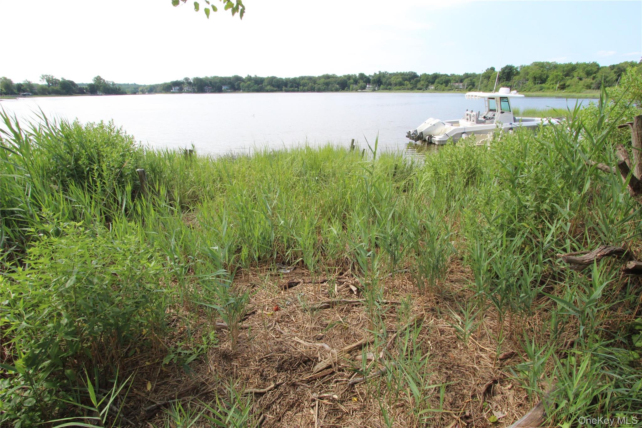 59 Dyke Road East Setauket, NY 11733 - Photo 3 of 3 a view of a lake with houses in outdoor space