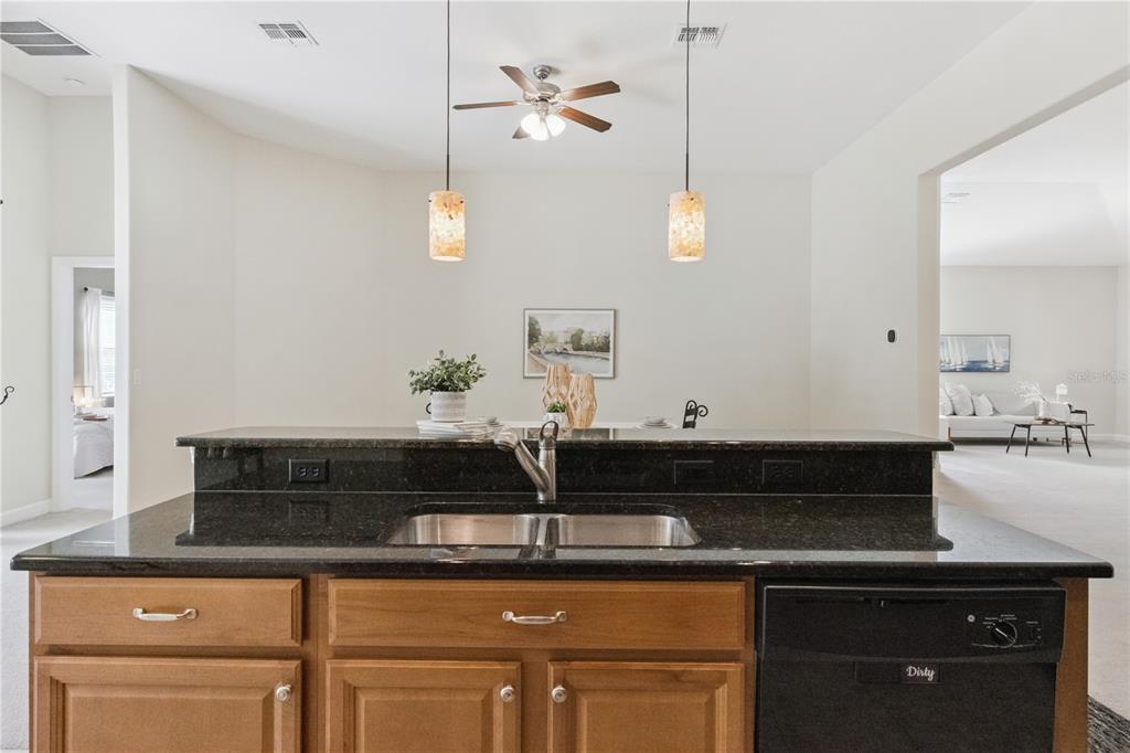 5832 Tarleton Way Mount Dora, FL 32757 - Photo 12 of 31 a kitchen with a sink and cabinets