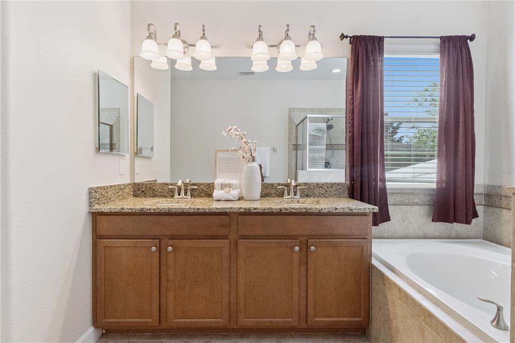 5832 Tarleton Way Mount Dora, FL 32757 - Photo 25 of 31 a bathroom with a granite countertop sink a large mirror and a bathtub