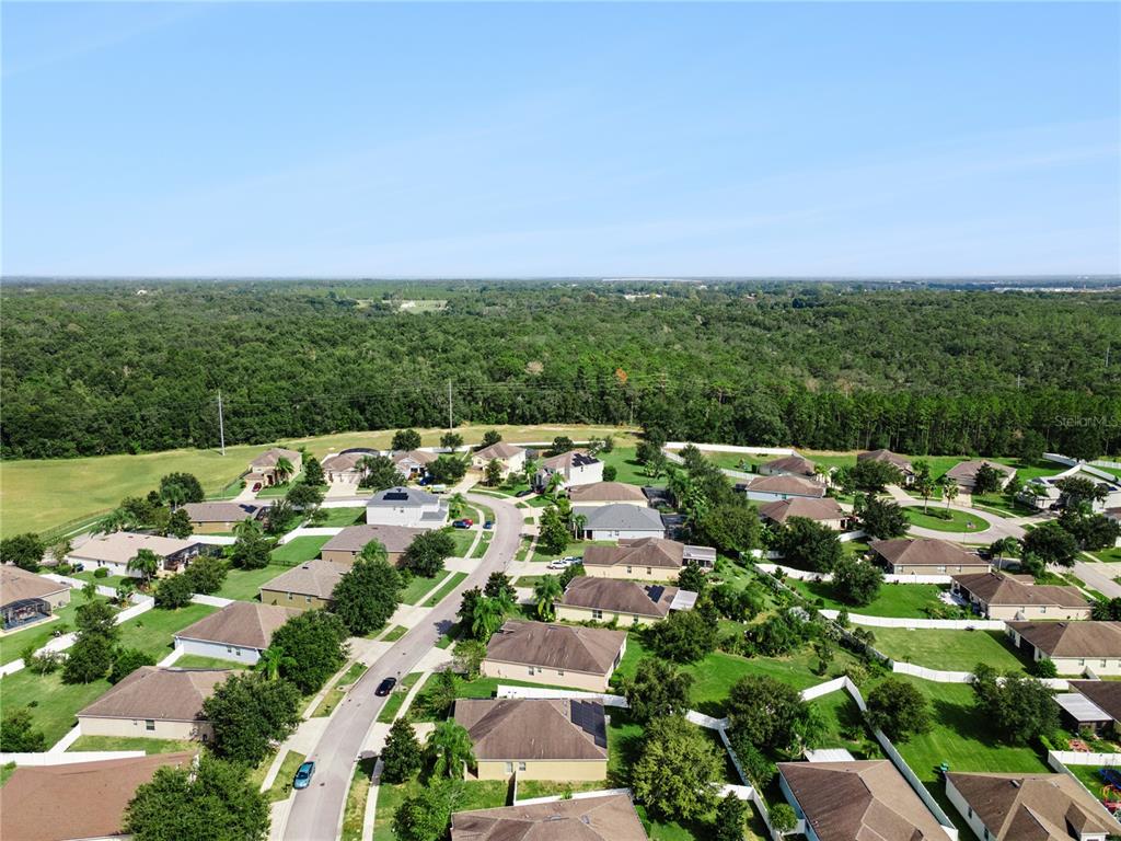 5832 Tarleton Way Mount Dora, FL 32757 - Photo 29 of 31 a picture of city view with lot of trees