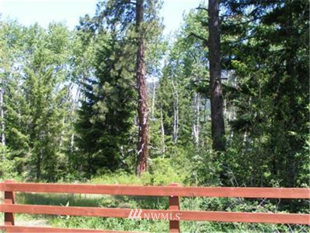 9 Old Cedars Road Cle Elum, WA 98922 - Photo 2 of 2