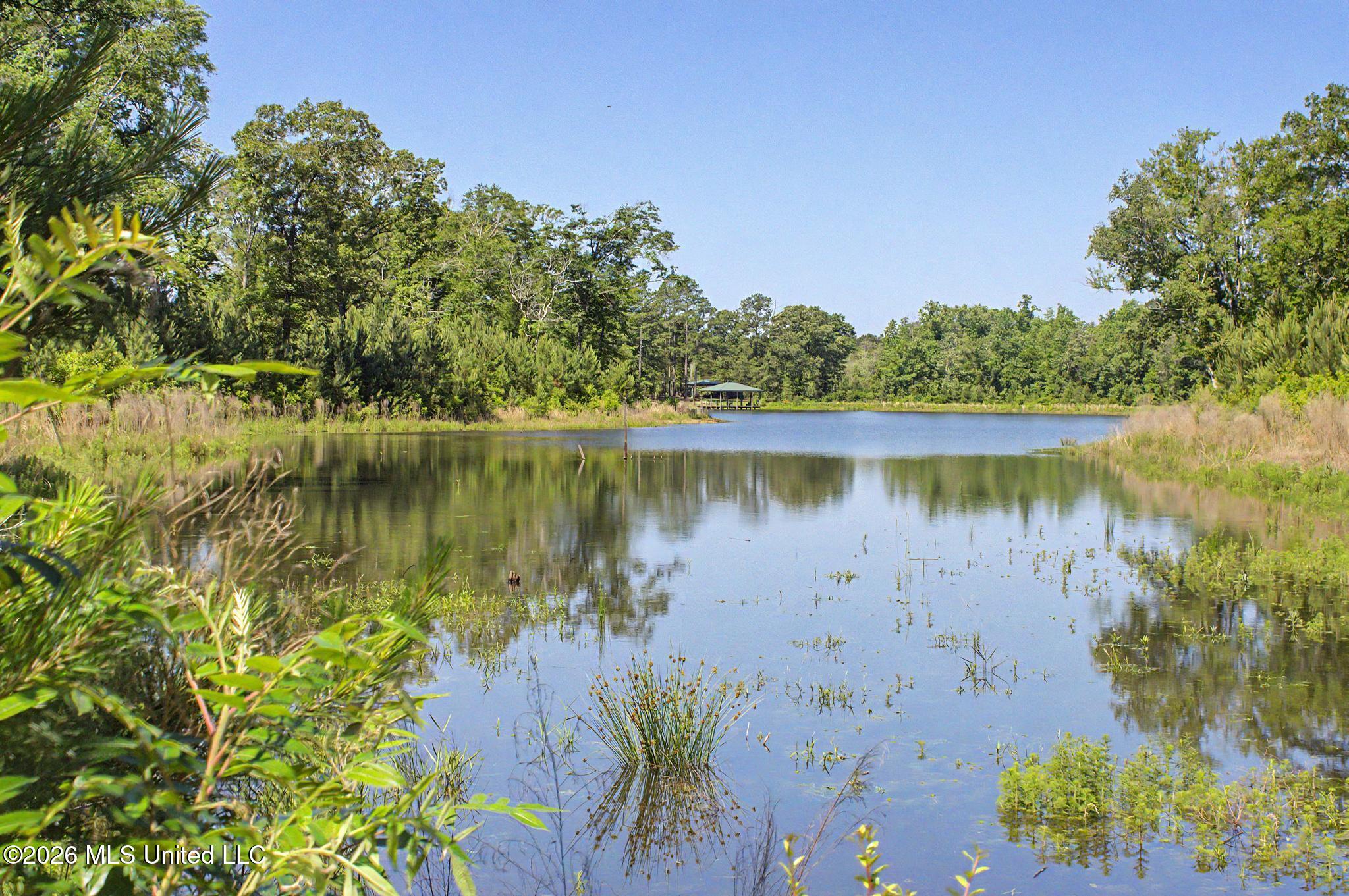 271 Shadeville Road Wiggins, MS 39577 - Photo 37 of 45 IMG_5808