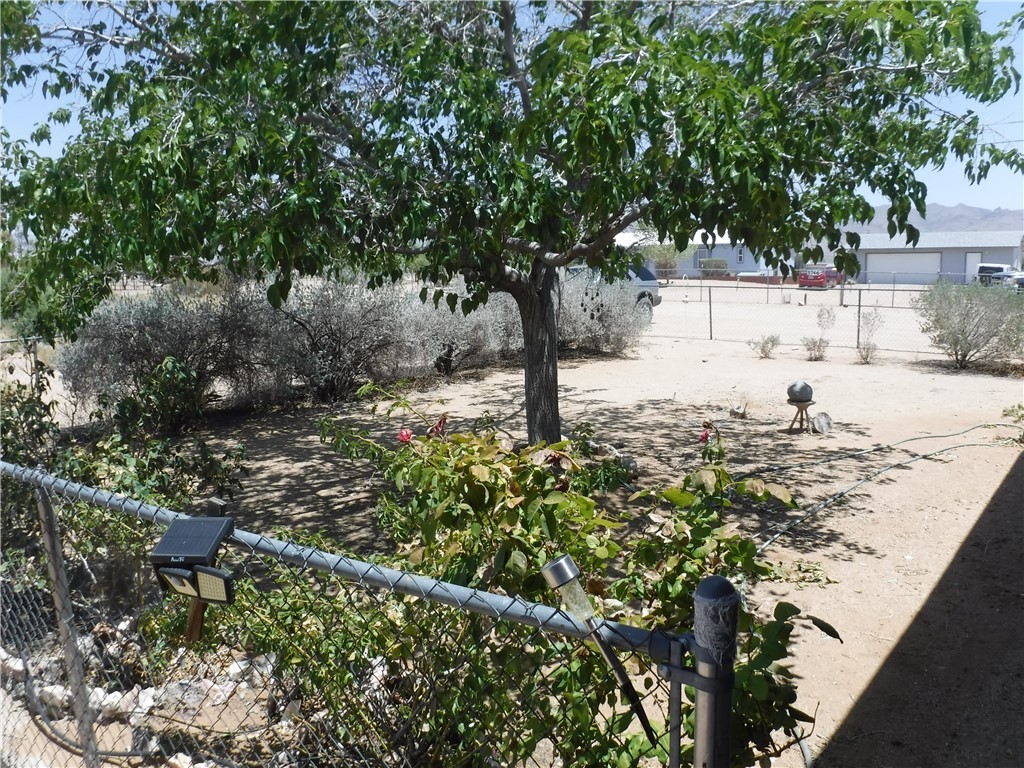 3745 Aguila Road Golden Valley, AZ 86413 - Photo 36 of 44 Yard