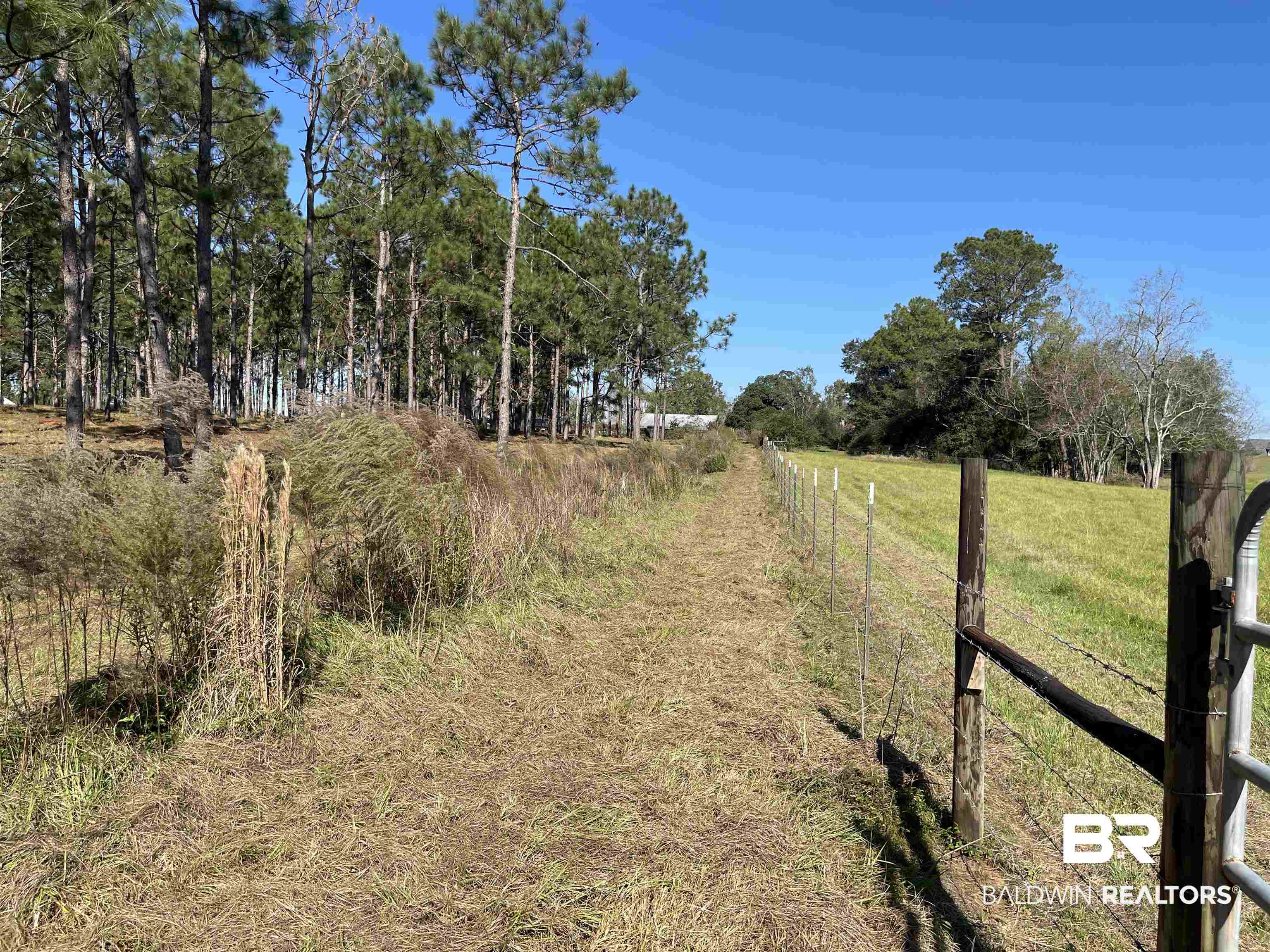 0 Fackler Road Loxley, AL 36551 - Photo 7 of 11 View of road featuring a rural view