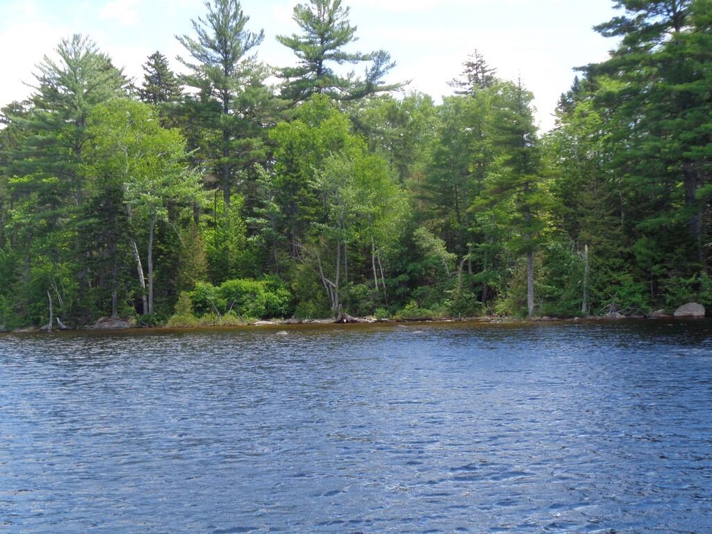 118 Twin Lakes Road Millinocket, ME 04462 - Photo 49 of 68 DSC05173 (Copy)