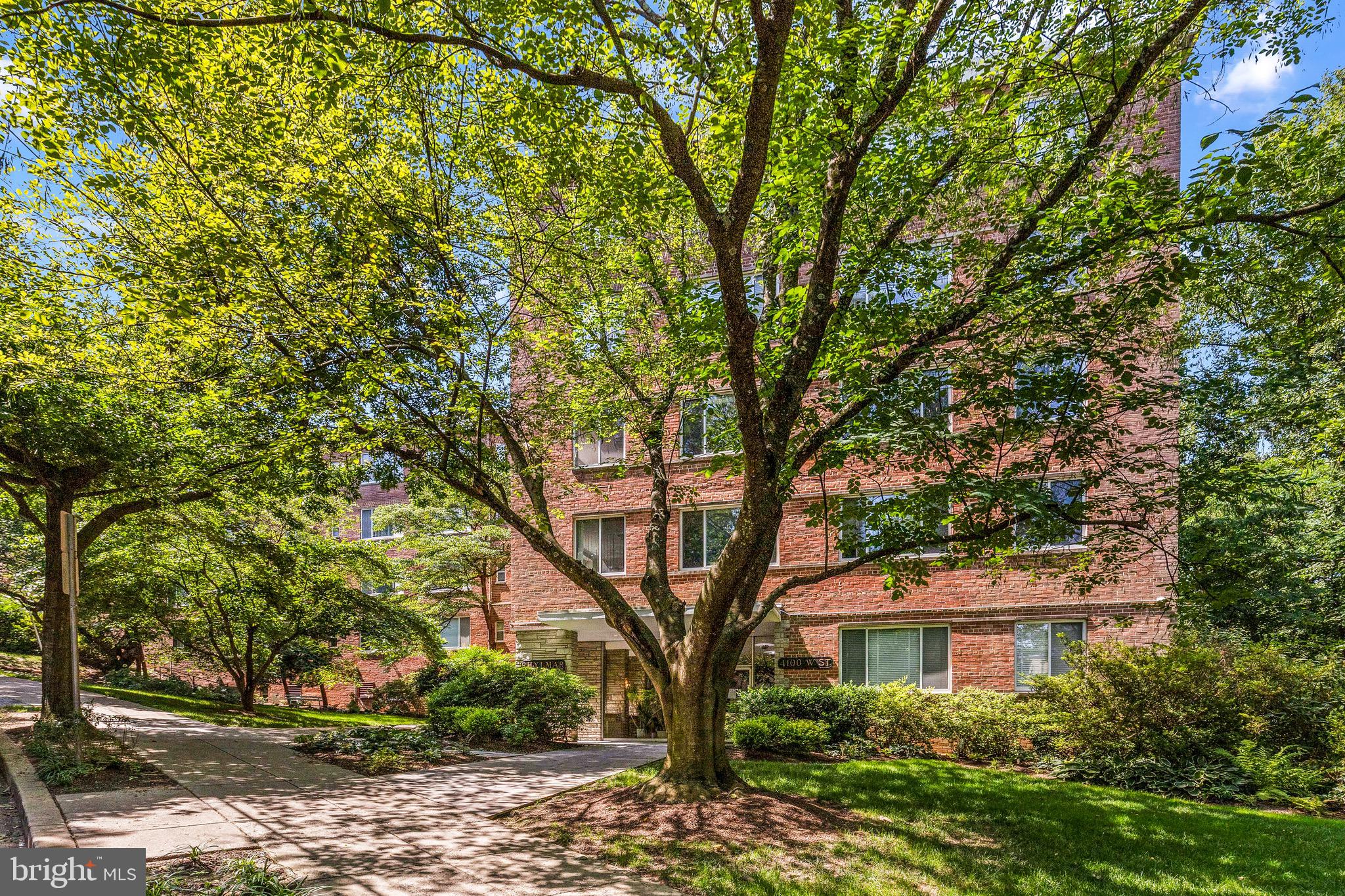 4100 W Street Northwest, Unit 306 Washington, DC 20007 - Photo 18 of 23 a house in middle of forest