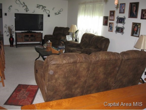 9325 Lost Spring Road Dawson, IL 62520 - Photo 3 of 17 Gallery Image 3