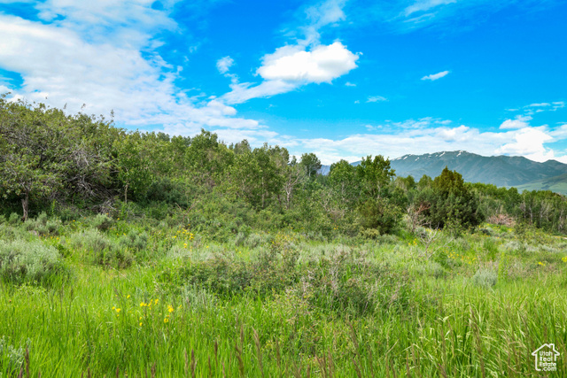 Mountain view with flat terrain facing south perfect for building.