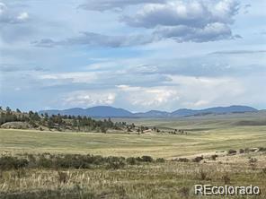 1599 Campfire Road Hartsel, CO 80449 - Photo 1 of 39 Gallery Image 1