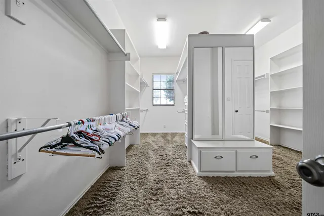 a view of a bedroom with bed and closet