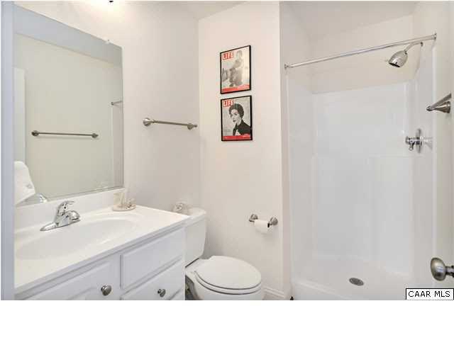 5346 Raven Stone Road Crozet, VA 22932 - Photo 25 of 25 a bathroom with a sink toilet and shower