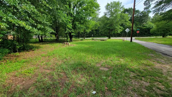 a view of park space