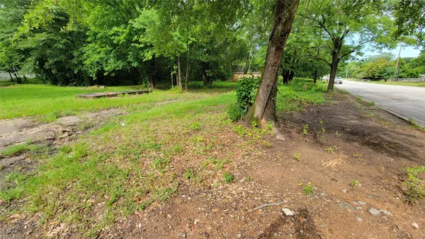 a view of a trees with a backyard
