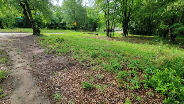 a view of outdoor space with trees all around
