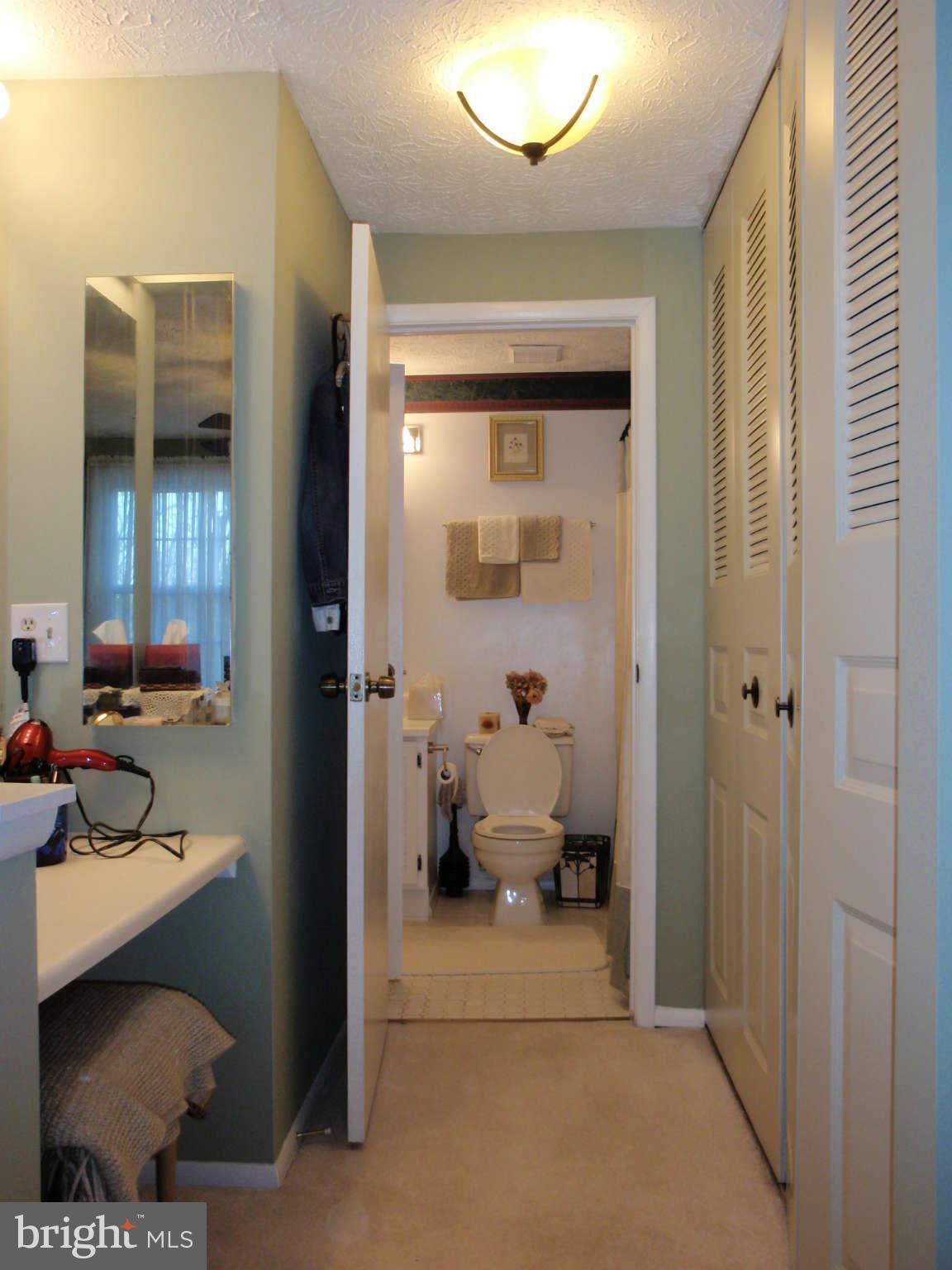 12139 Purple Sage Court Reston, VA 20194 - Photo 11 of 21 a en suite bathroom with a sink a mirror and a shower