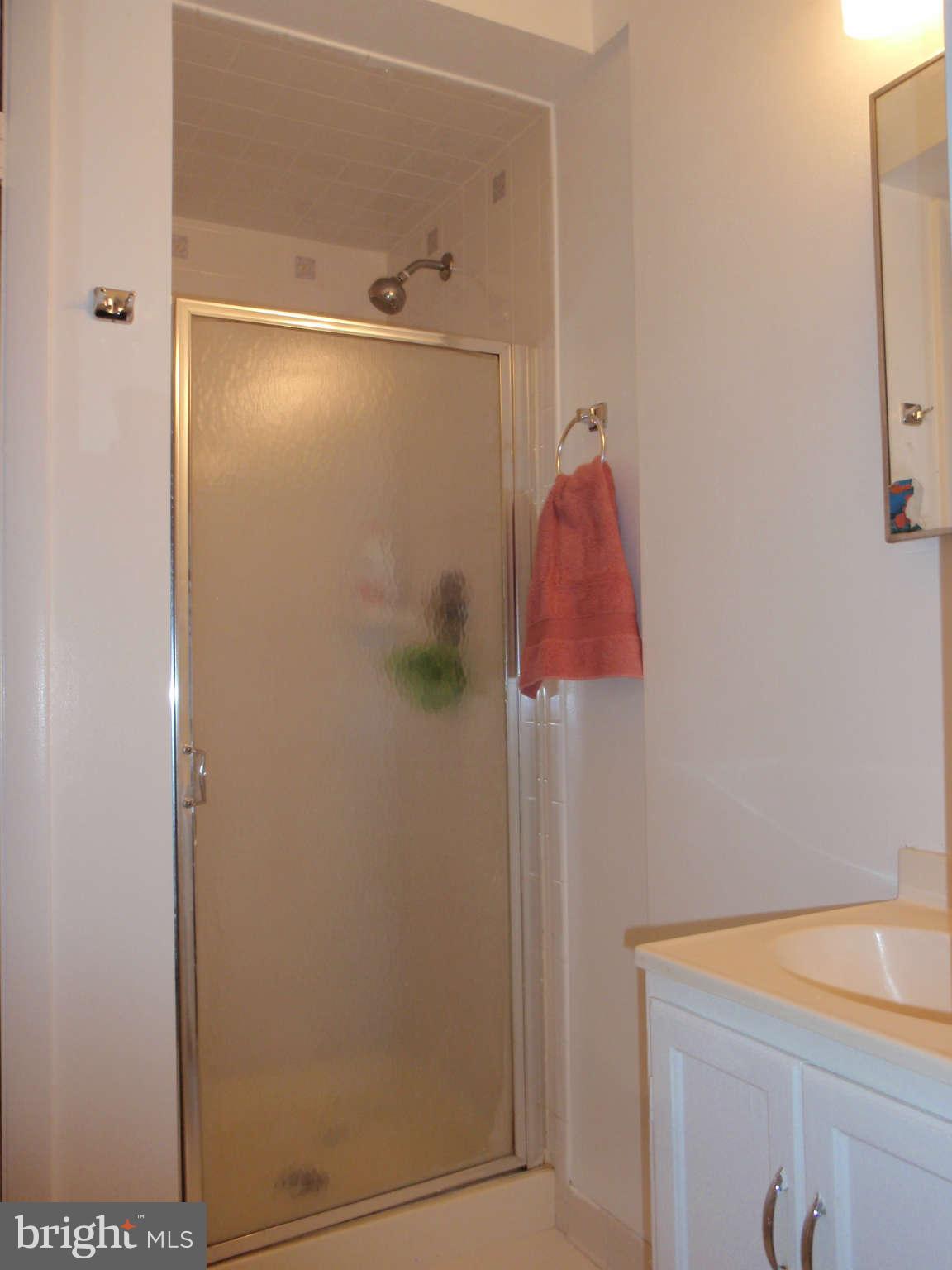 12139 Purple Sage Court Reston, VA 20194 - Photo 14 of 21 a bathroom with a shower