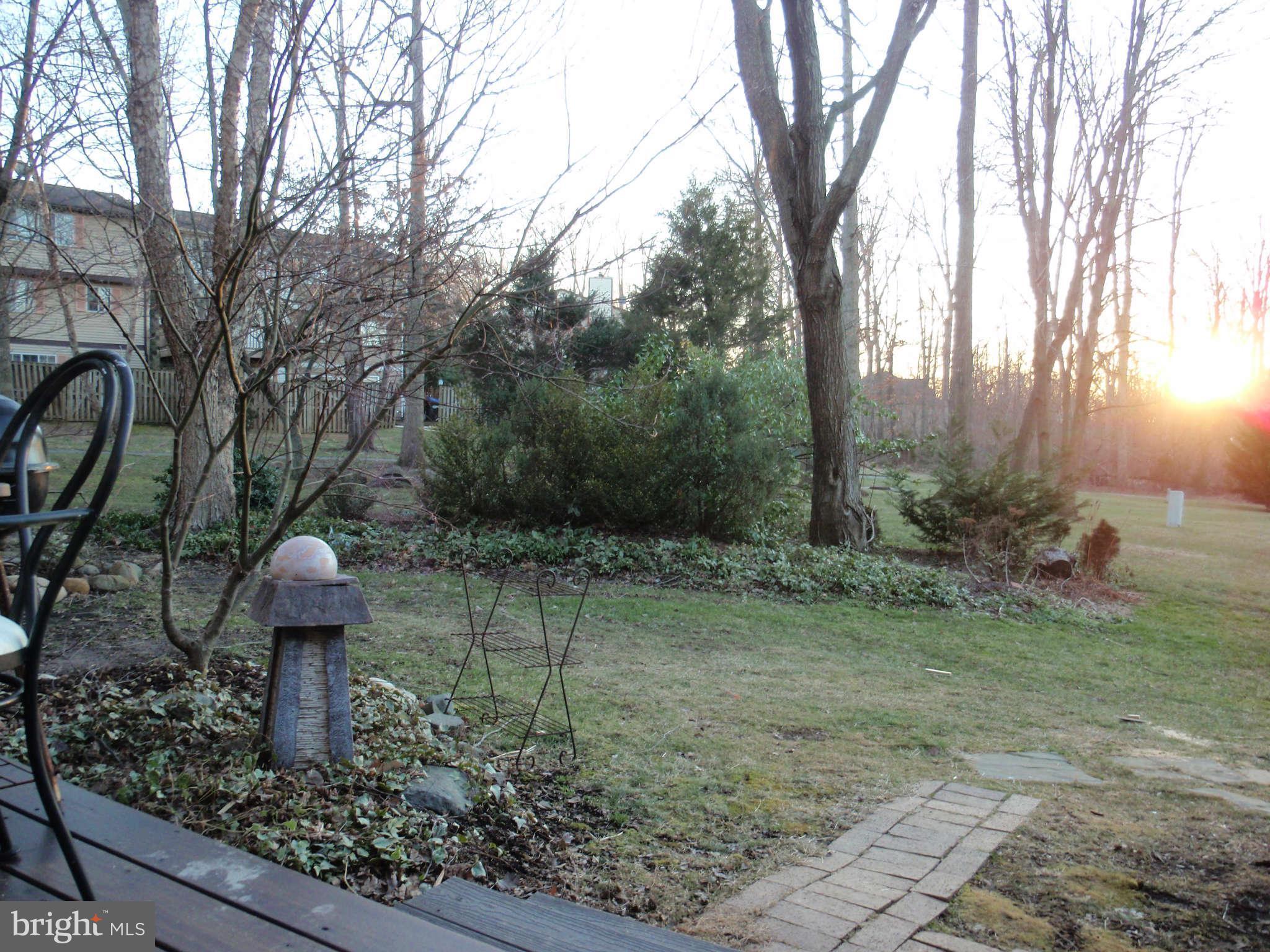 12139 Purple Sage Court Reston, VA 20194 - Photo 18 of 21 a view of a garden