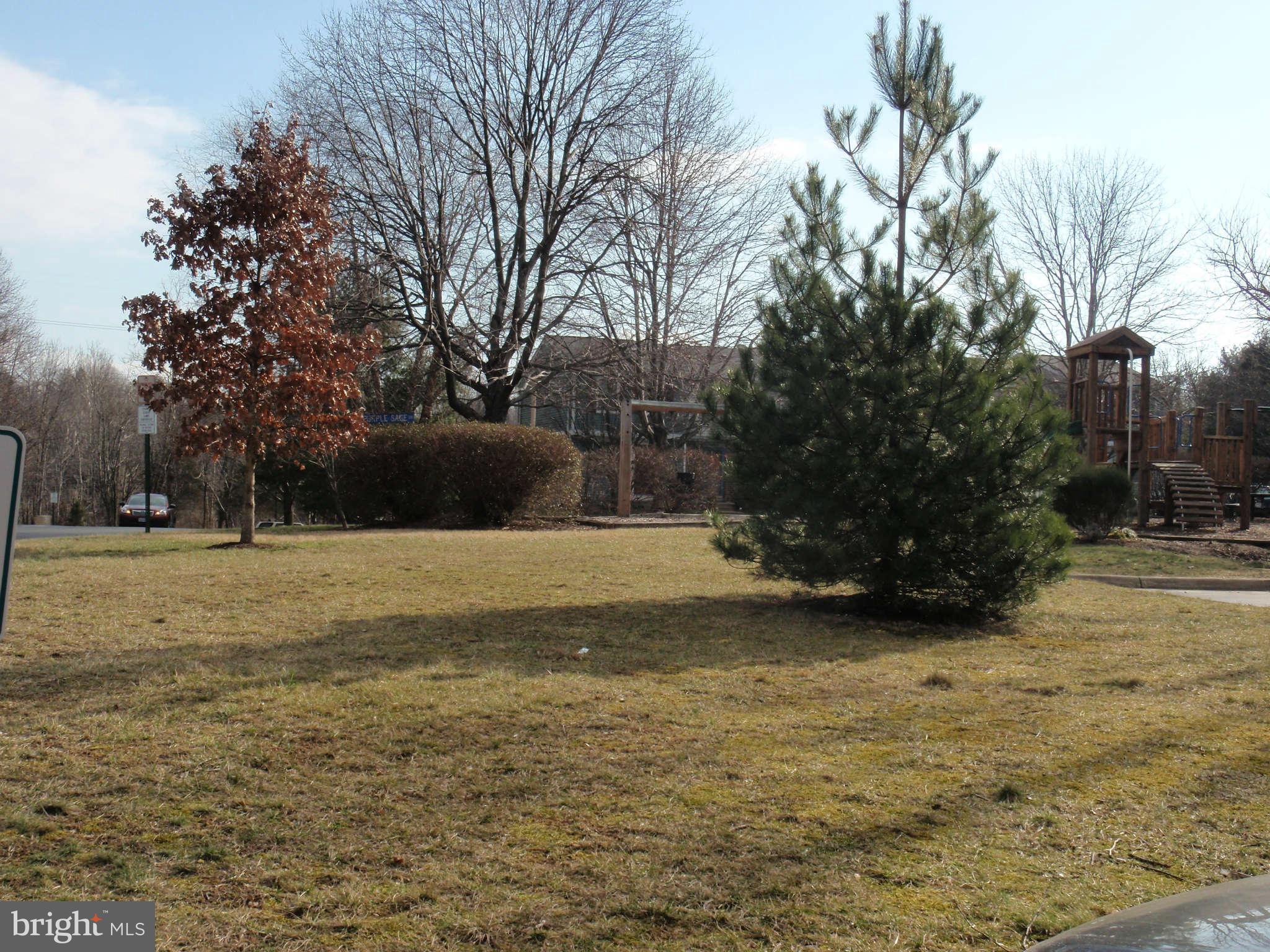 12139 Purple Sage Court Reston, VA 20194 - Photo 21 of 21 a view of a yard with an trees
