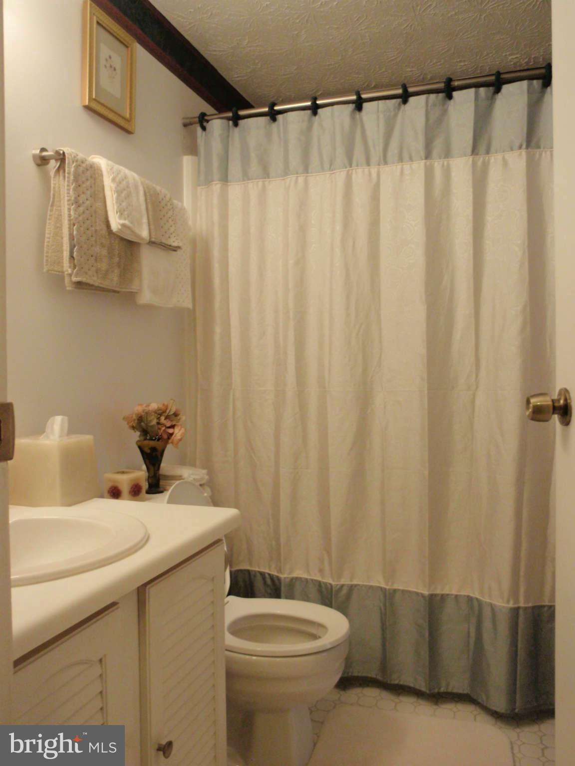 12139 Purple Sage Court Reston, VA 20194 - Photo 10 of 21 a bathroom with a sink and a mirror