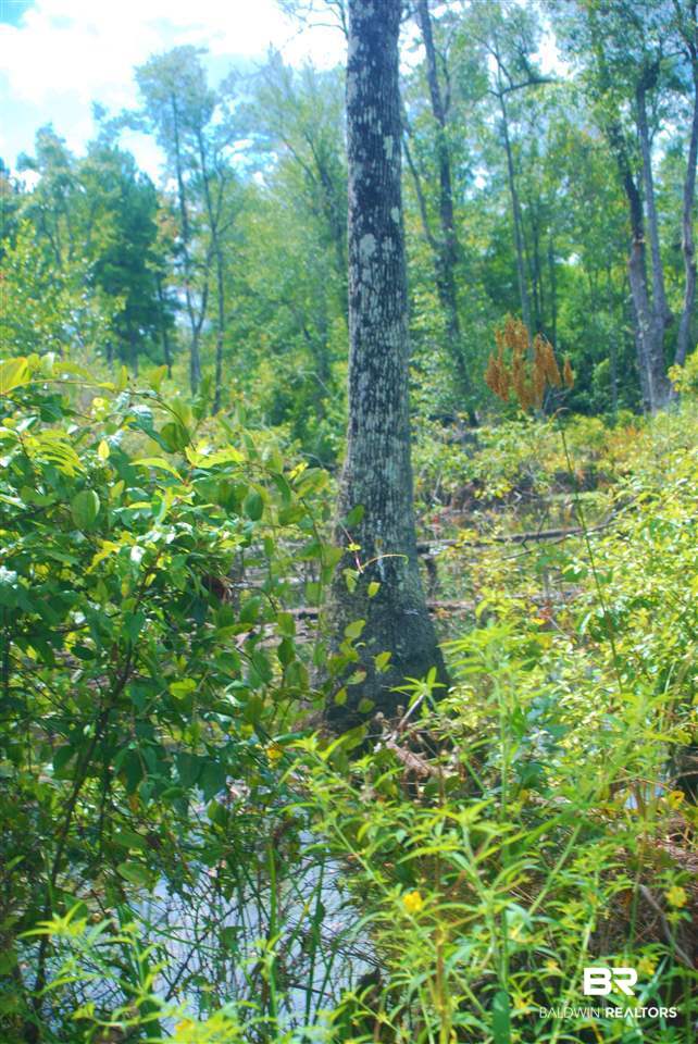249 Camp Dixon Road Brewton, AL 36426 - Photo 29 of 48