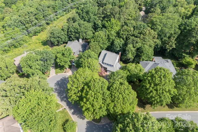a view of a garden with plants