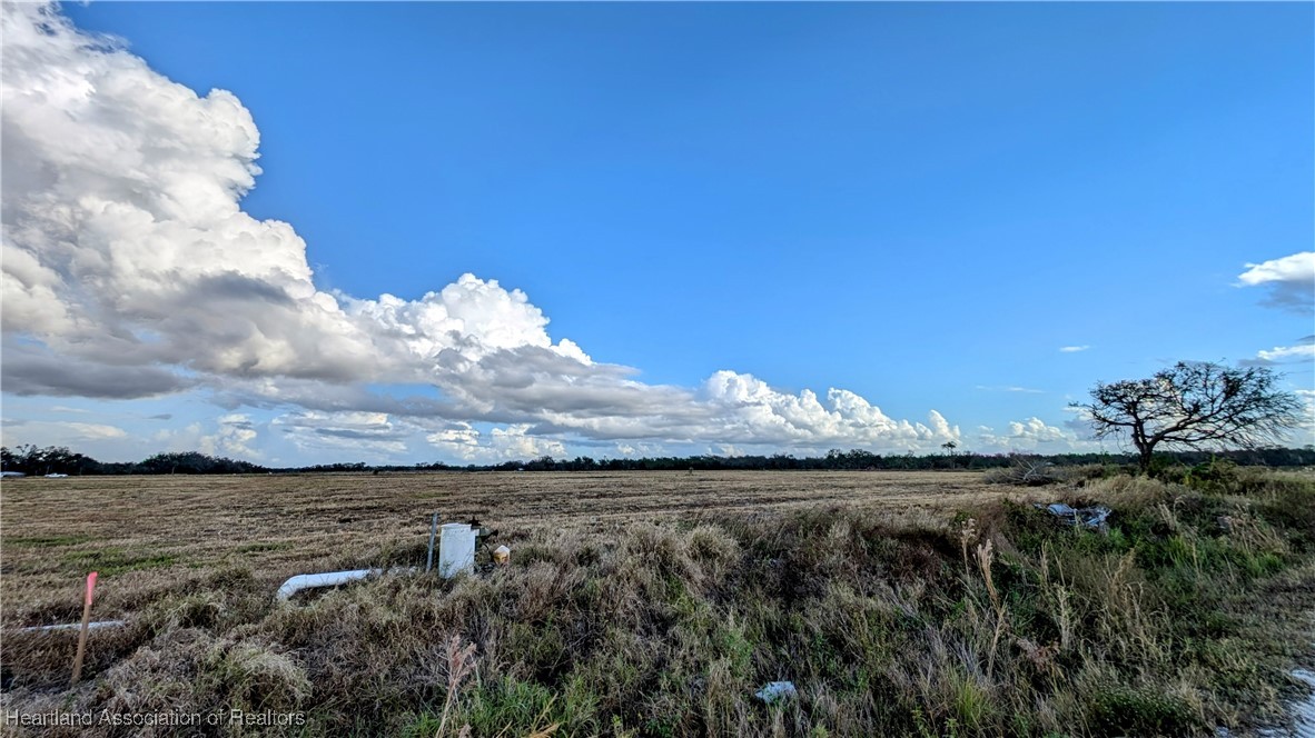 0 Alton Road Ona, FL 33865 - Photo 6 of 9 Gallery Image 6