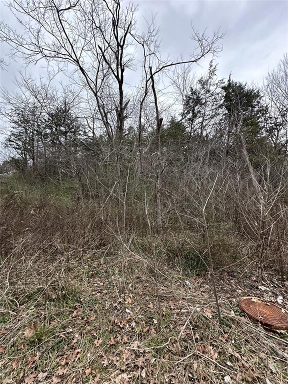 621 Munson Street Denison, TX 75021 - Photo 12 of 16 a view of a yard