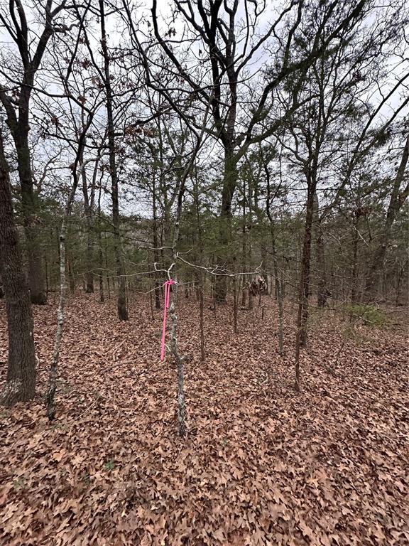 621 Munson Street Denison, TX 75021 - Photo 15 of 16 a view of a pathway with a yard