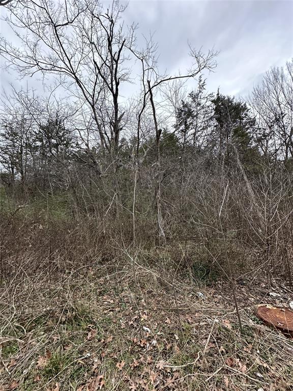 621 Munson Street Denison, TX 75021 - Photo 2 of 16 a view of a yard with a tree