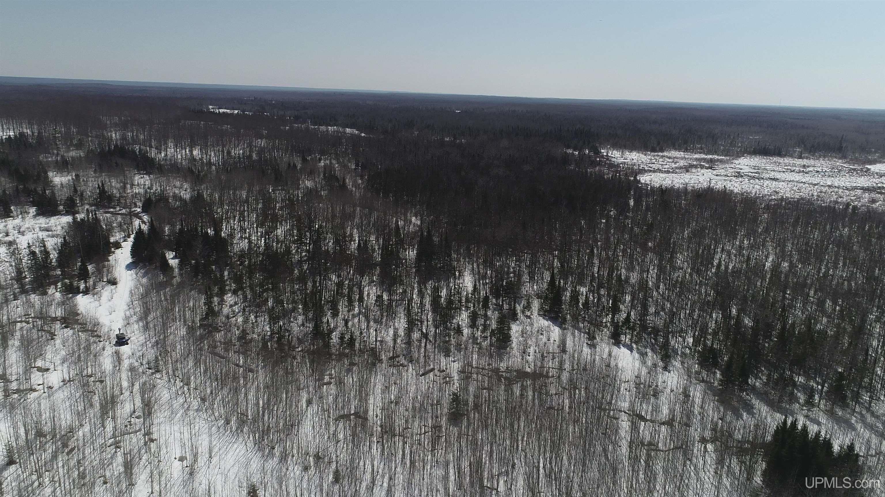 V25 Rd Trenary Mi 49891 Road Rapid River, MI 49878 - Photo 24 of 28