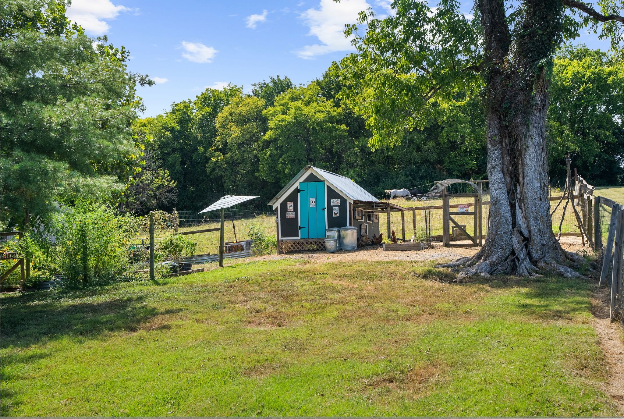 1633 Saundersville Road Hendersonville, TN 37075 - Photo 45 of 71 a house that has a tree in front of it and covered with green trees