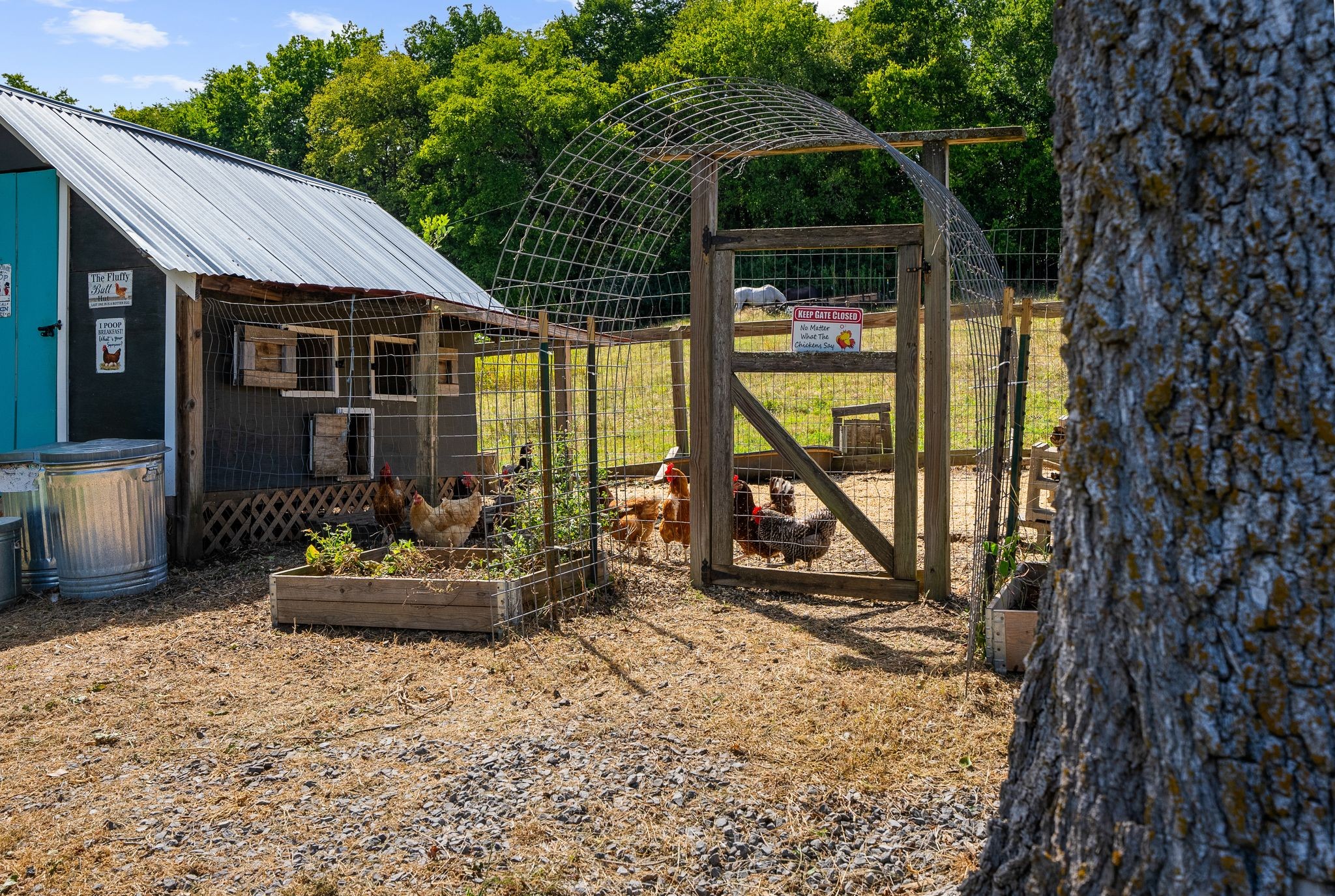 1633 Saundersville Road Hendersonville, TN 37075 - Photo 46 of 71