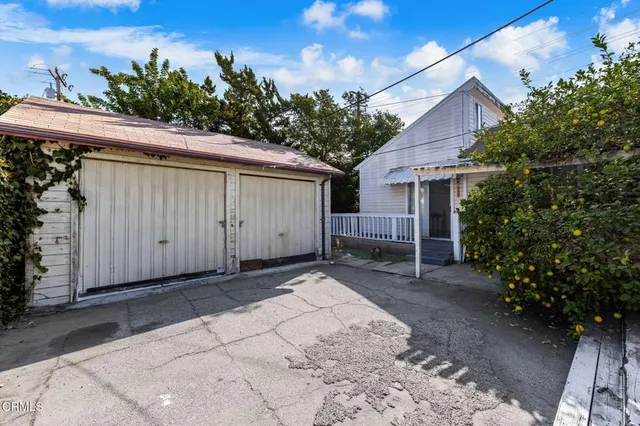 a view of backyard with plants and trees