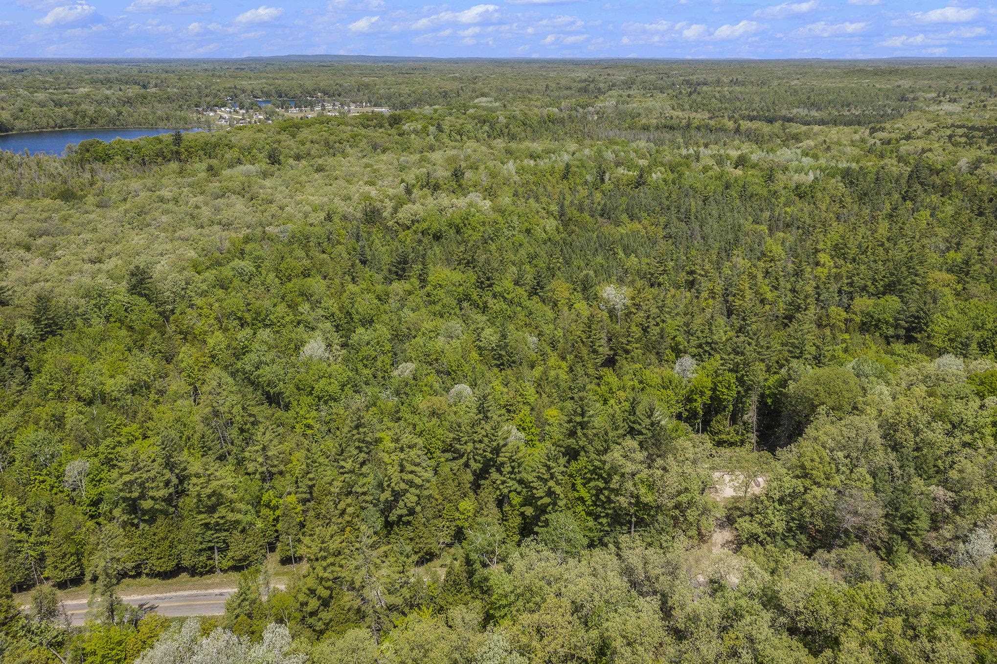 6770 West 5 Mile Road Irons, MI 49644 - Photo 17 of 18 Gallery Image 17