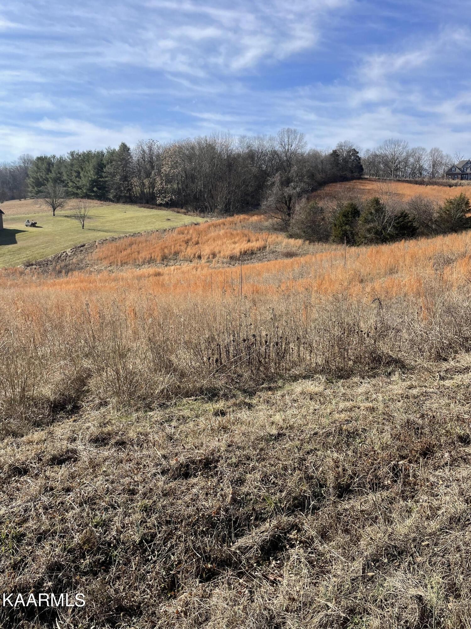 0 Brethren Church Road White Pine, TN 37890 - Photo 5 of 7 Gallery Image 5