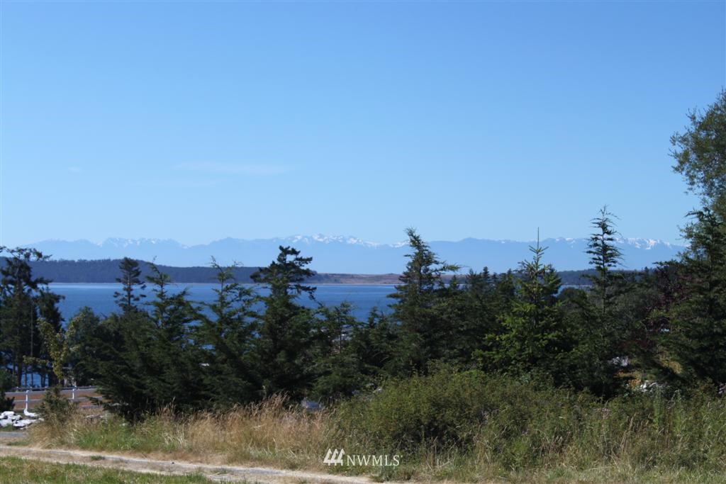 3116 Pear Point Road San Juan Island, WA 98250 - Photo 2 of 8 Gallery Image 2